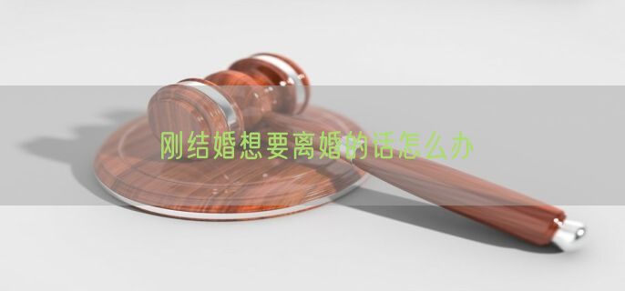刚结婚想要离婚的话怎么办