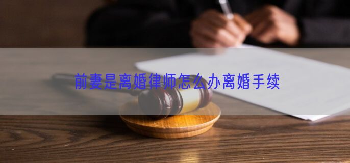 前妻是离婚律师怎么办离婚手续