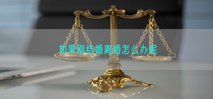 如果刚结婚离婚怎么办呢