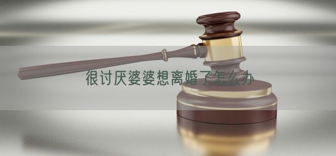 很讨厌婆婆想离婚了怎么办