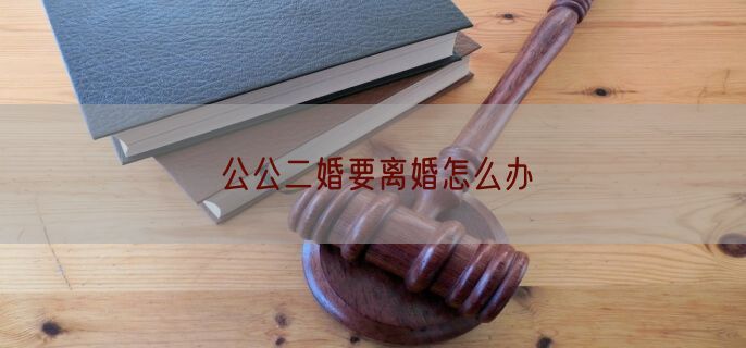 公公二婚要离婚怎么办
