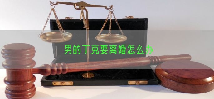 男的丁克要离婚怎么办