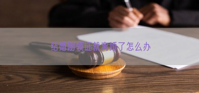 结婚刚领证就离婚了怎么办