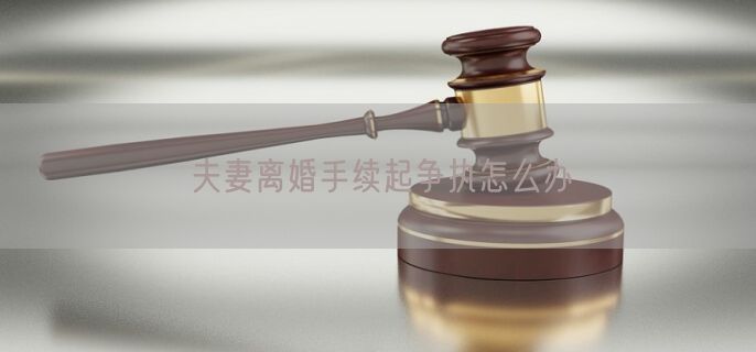 夫妻离婚手续起争执怎么办