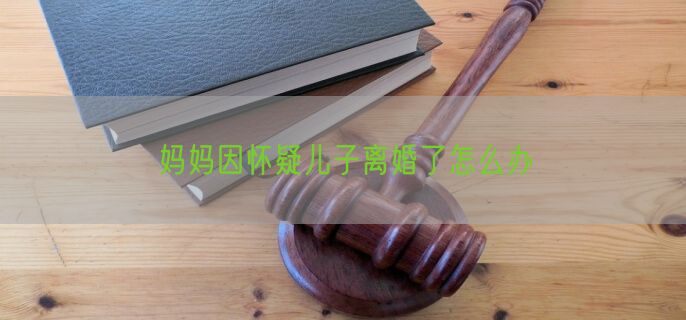 妈妈因怀疑儿子离婚了怎么办
