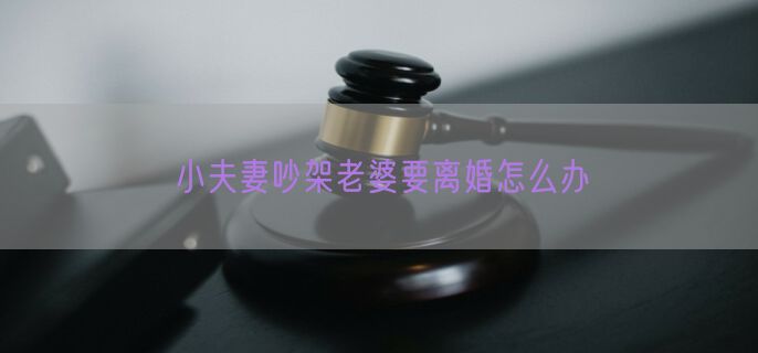 小夫妻吵架老婆要离婚怎么办