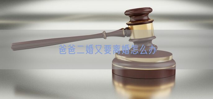 爸爸二婚又要离婚怎么办