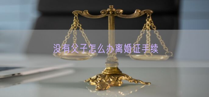 没有父子怎么办离婚证手续