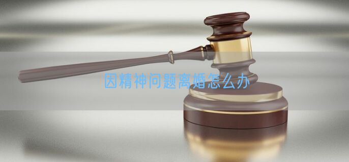 因精神问题离婚怎么办