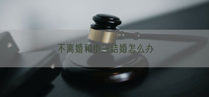 不离婚和小三结婚怎么办