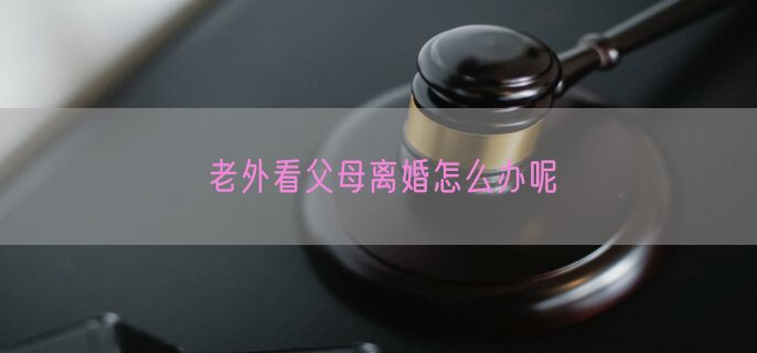 老外看父母离婚怎么办呢
