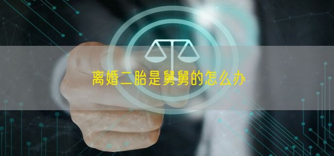 离婚二胎是舅舅的怎么办