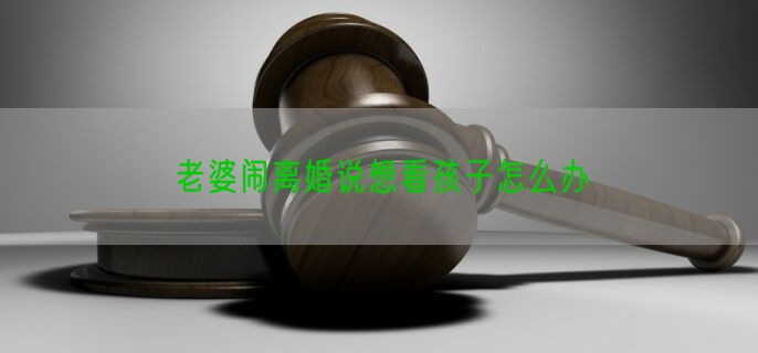 老婆闹离婚说想看孩子怎么办