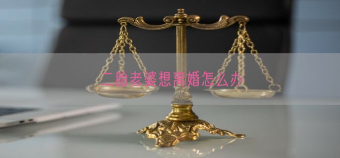 二胎老婆想离婚怎么办