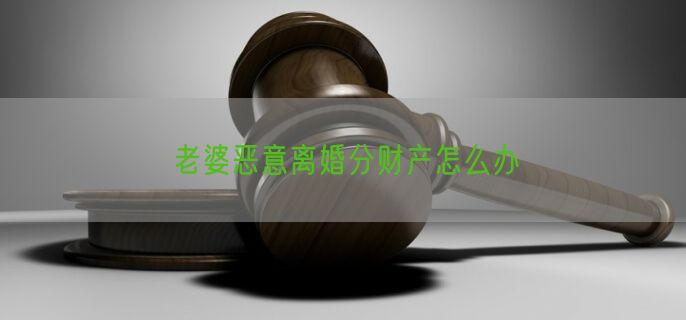 老婆恶意离婚分财产怎么办