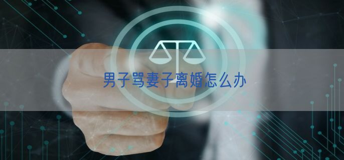 男子骂妻子离婚怎么办