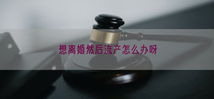 想离婚然后流产怎么办呀