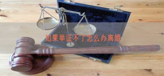 如果举证不了怎么办离婚