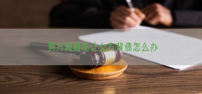男方离婚前让女方背债怎么办