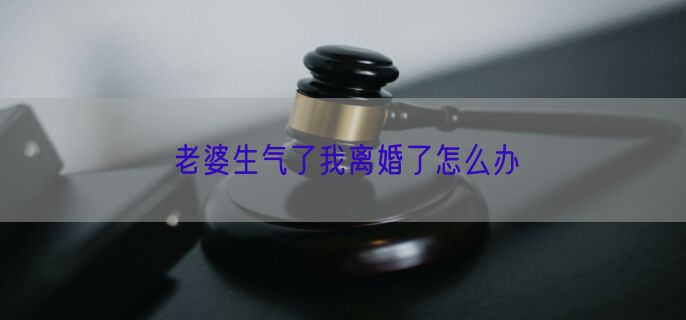 老婆生气了我离婚了怎么办