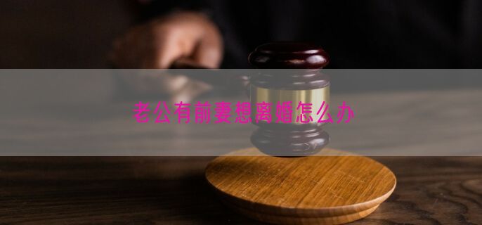 老公有前妻想离婚怎么办