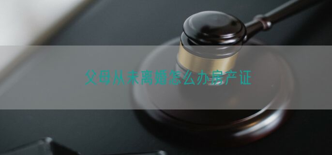 父母从未离婚怎么办房产证