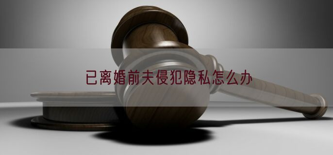 已离婚前夫侵犯隐私怎么办