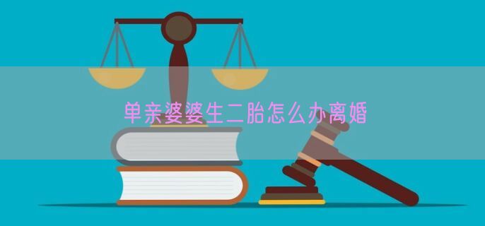 单亲婆婆生二胎怎么办离婚