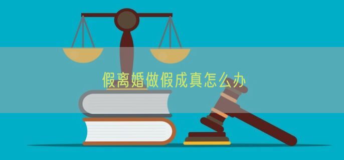 假离婚做假成真怎么办