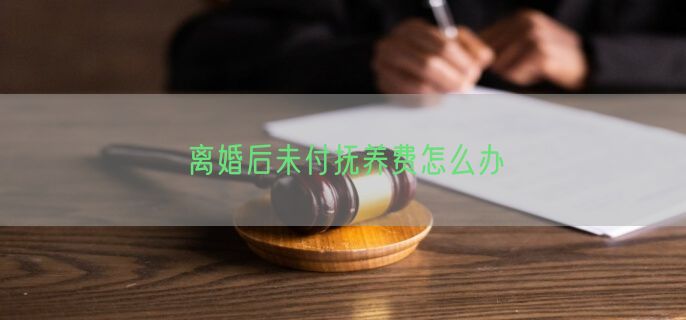 离婚后未付抚养费怎么办